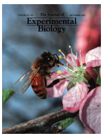 Experimental Biology